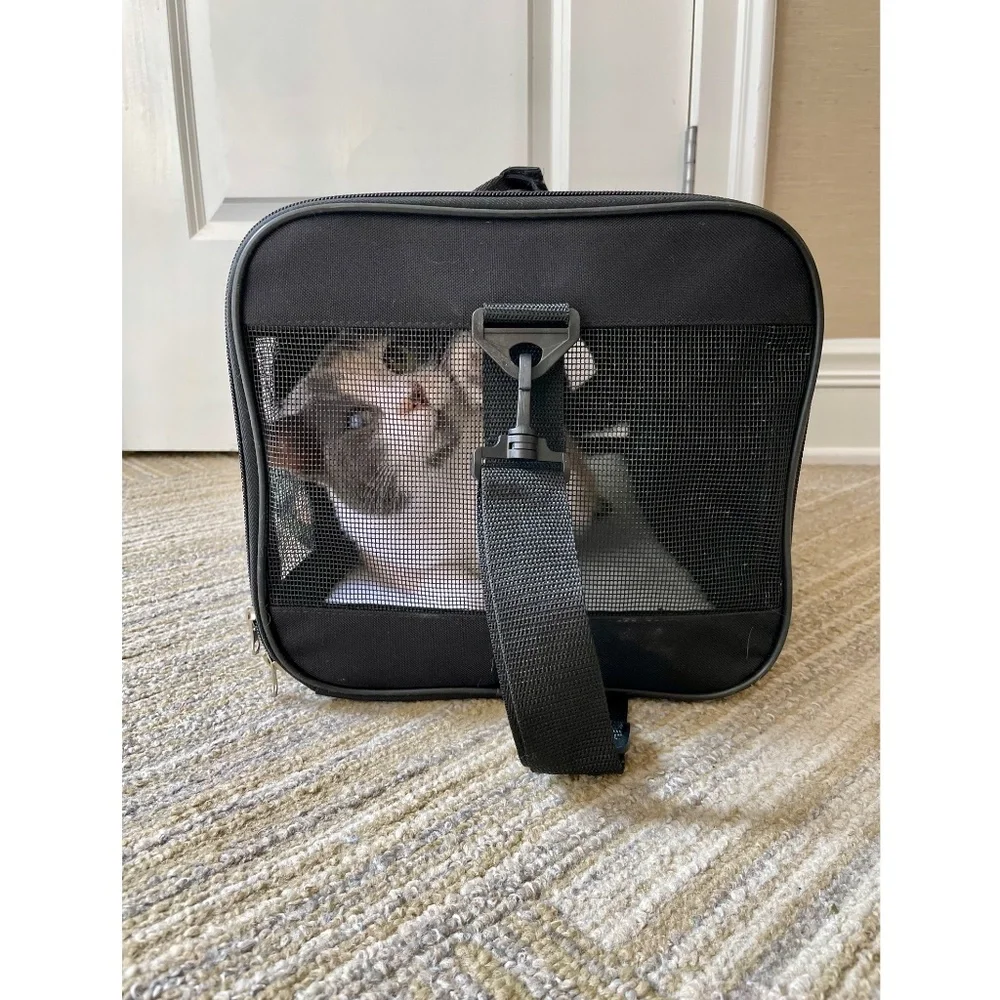 Animal Carrier Bag